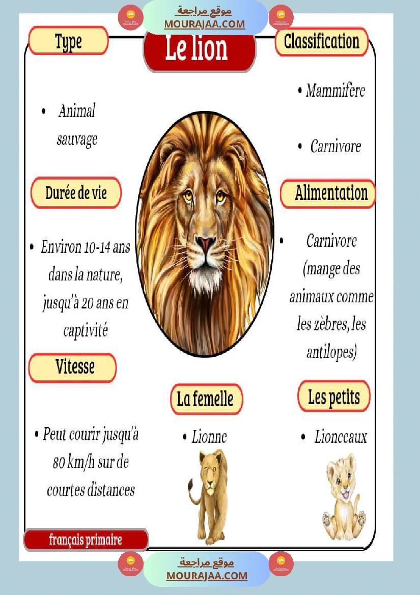 affichage les animaux