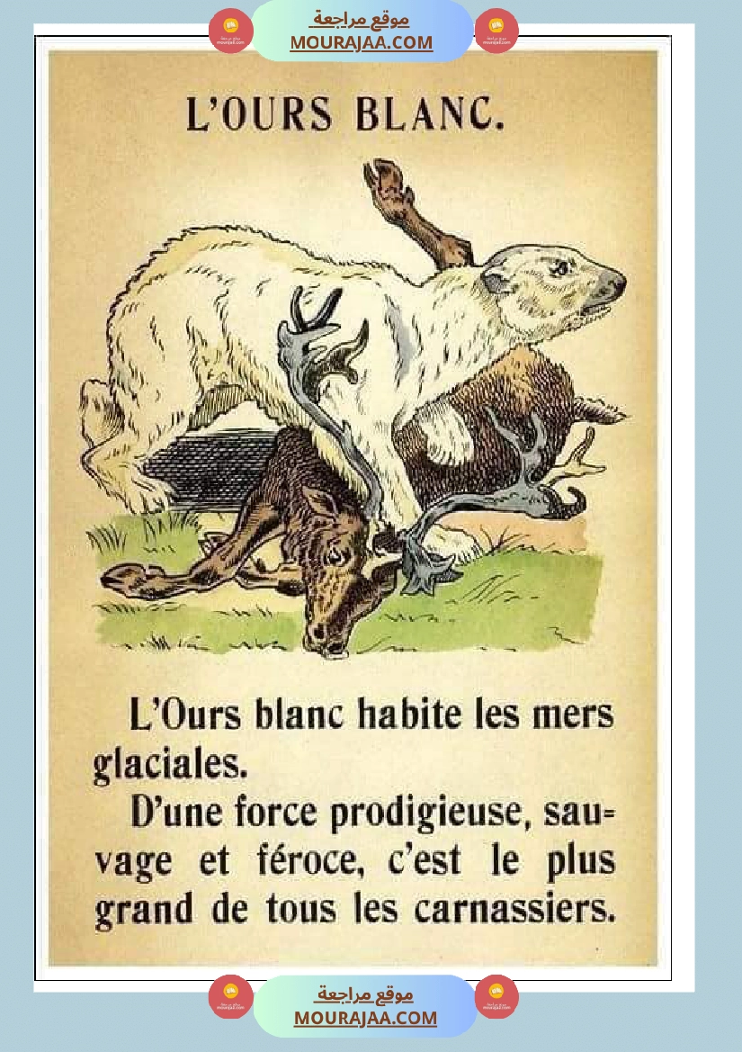 decrire les animaux 2