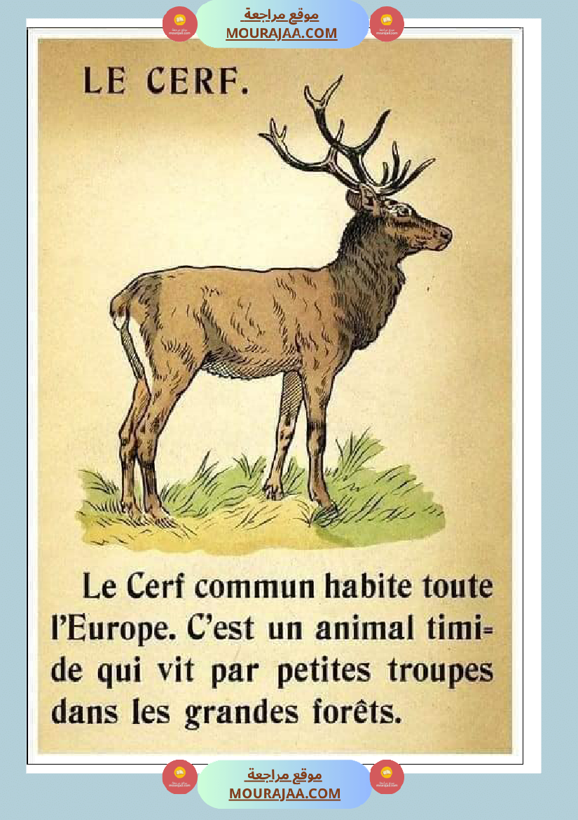 decrire les animaux 2