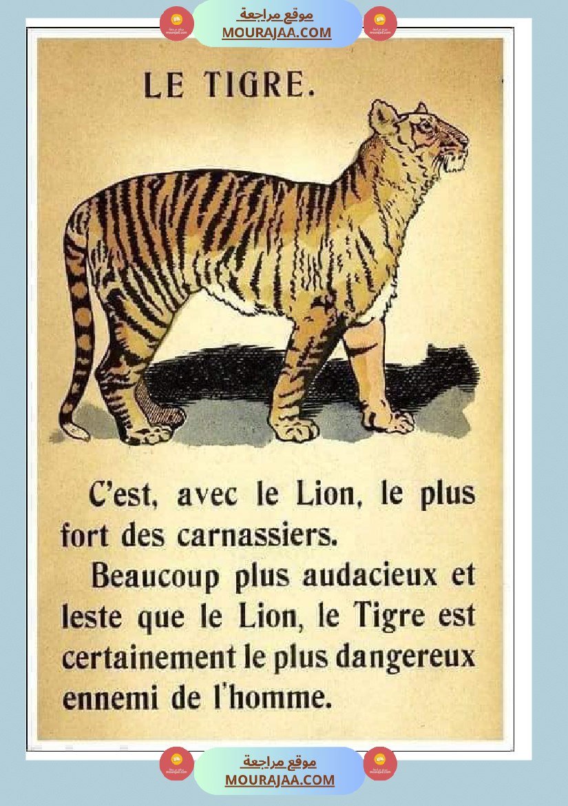 decrire les animaux 2