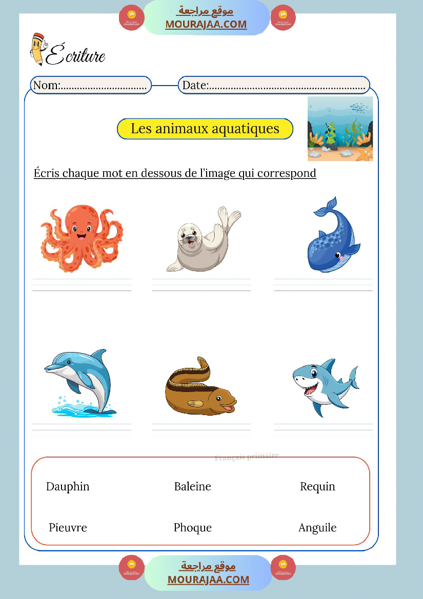 ecriture pour classe cp