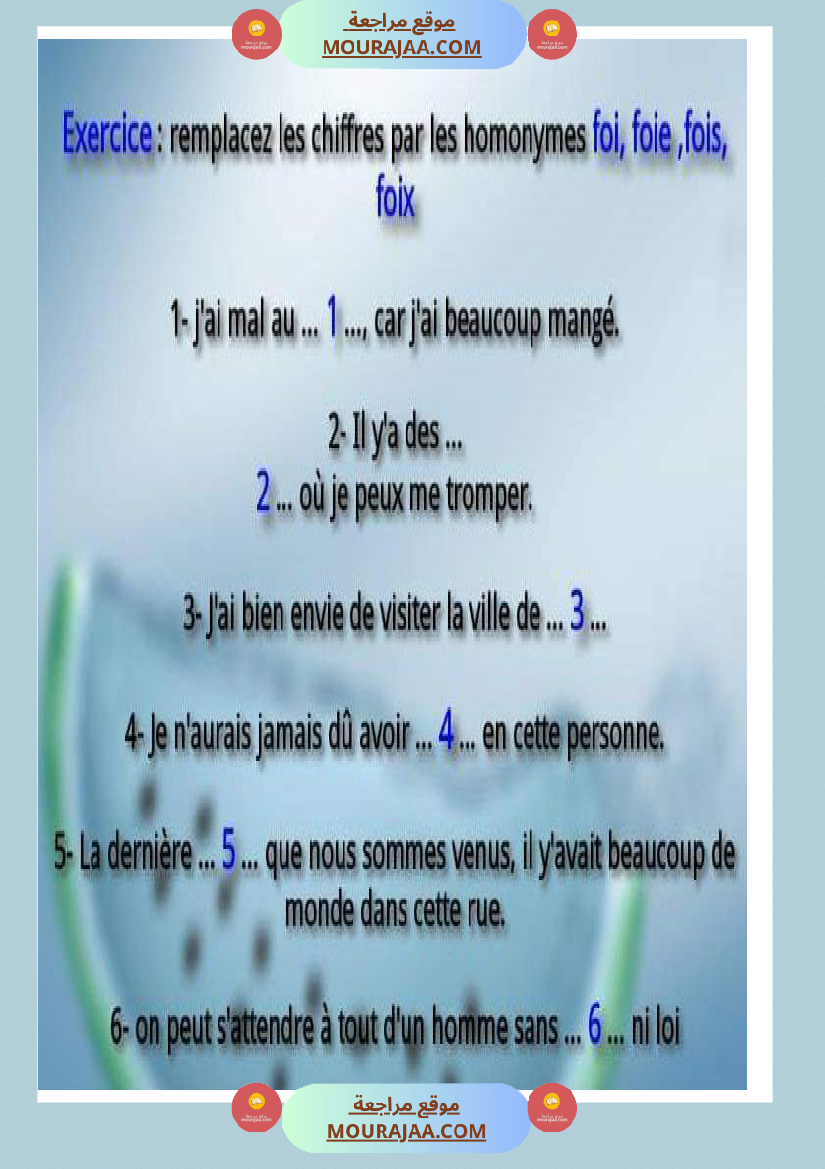 exercice homonymes foi foie fois foix