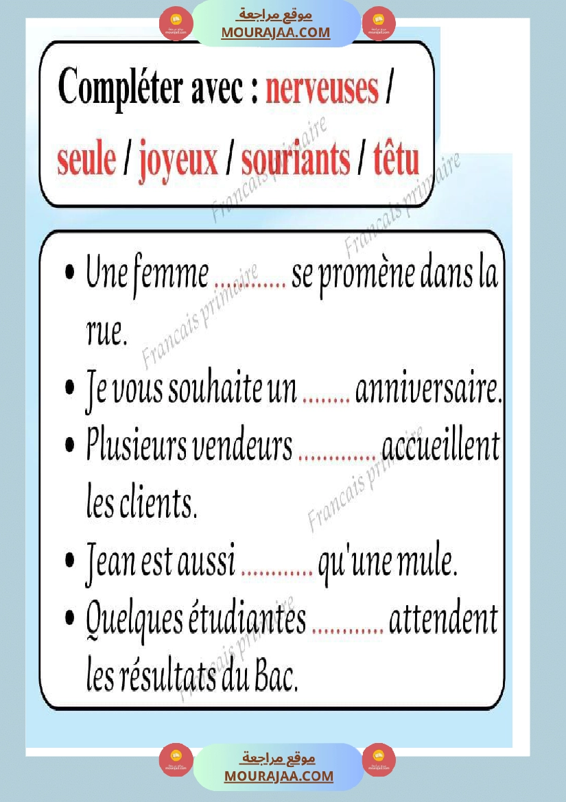 exercice sur adjectif