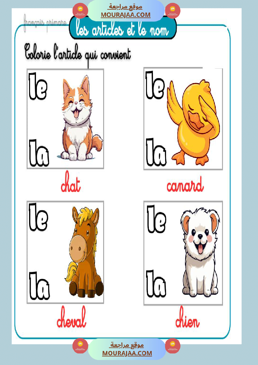 exercices les articles et le nom