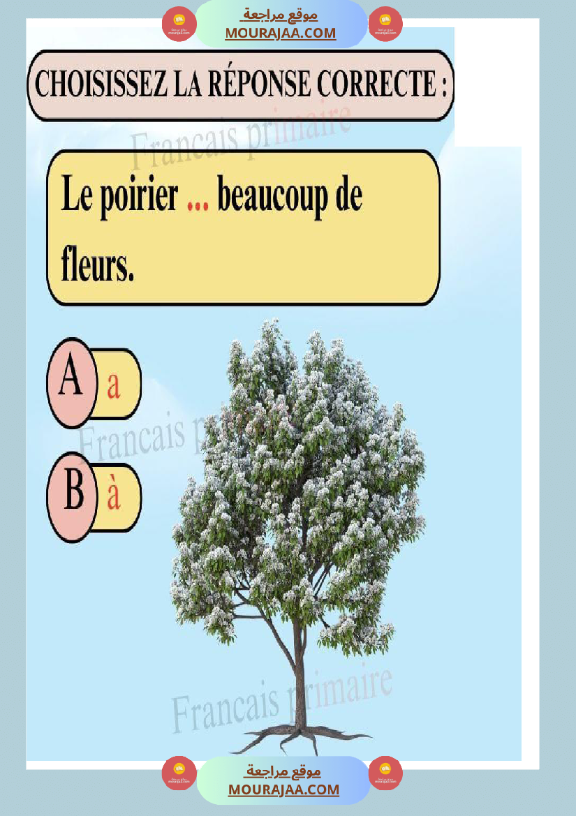 exercices sur les homophones a et à classe ce