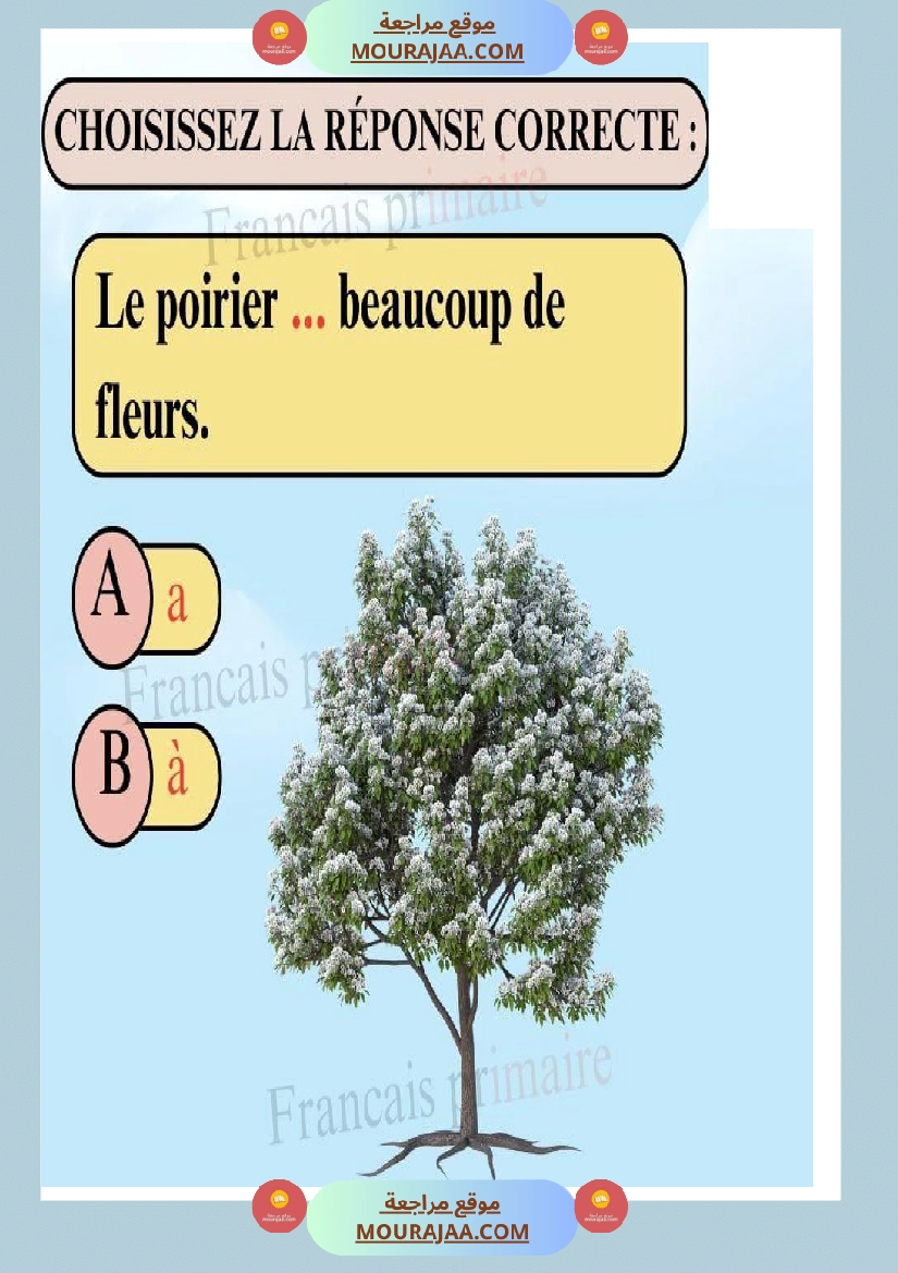 exercices sur les homophones a et à classe ce