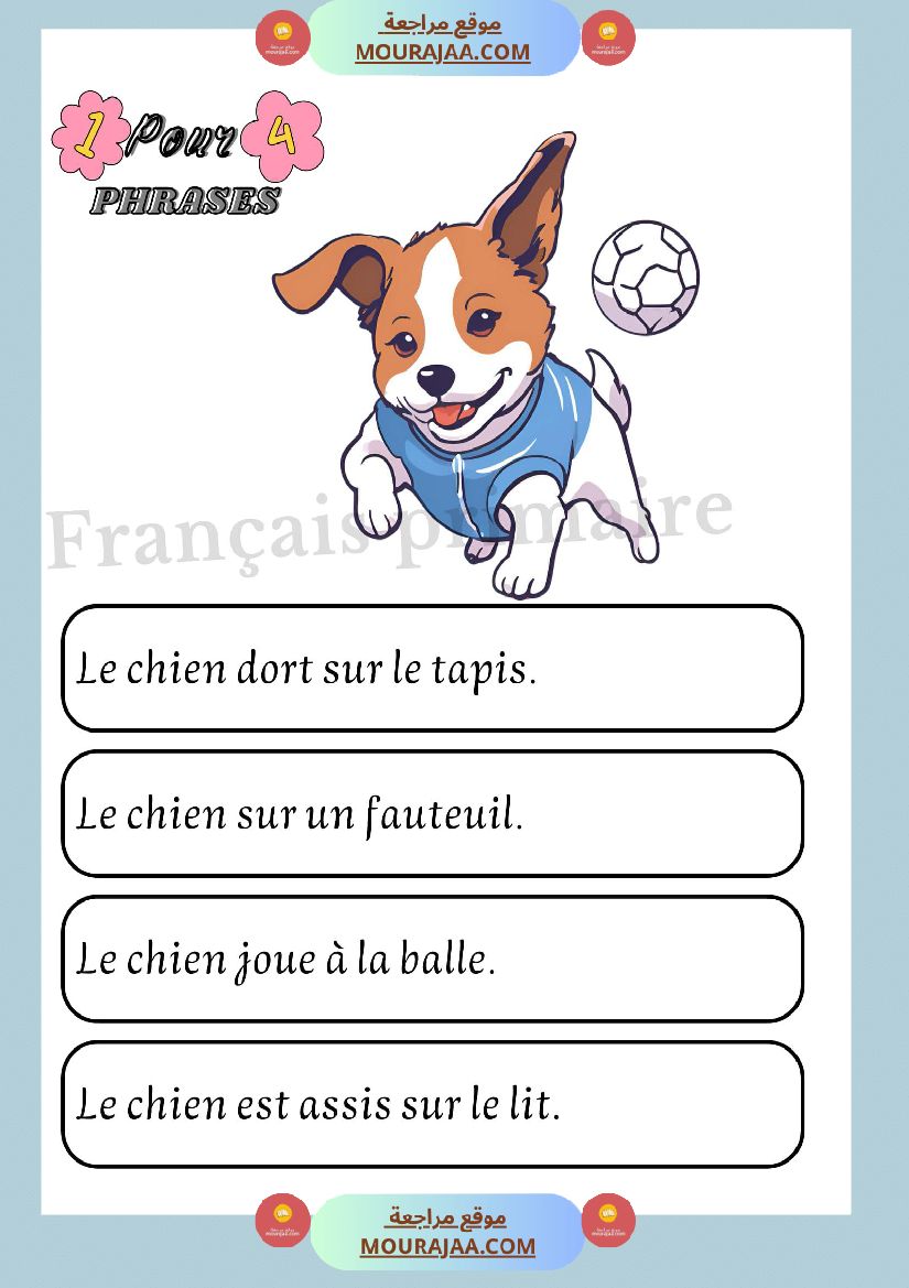 exercices sur les phrases