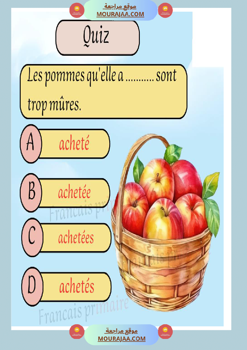 exercices sur pluriels verbes et noms