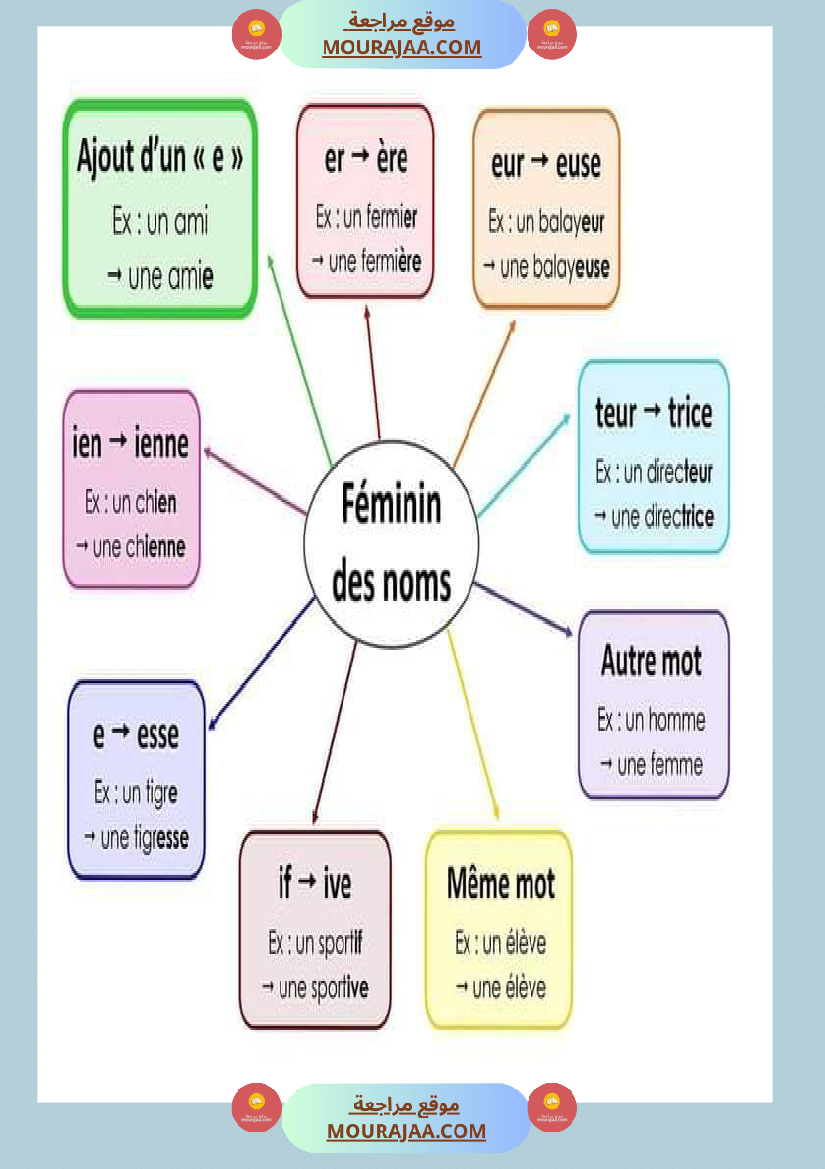 feminin des noms feminin des adjectifs