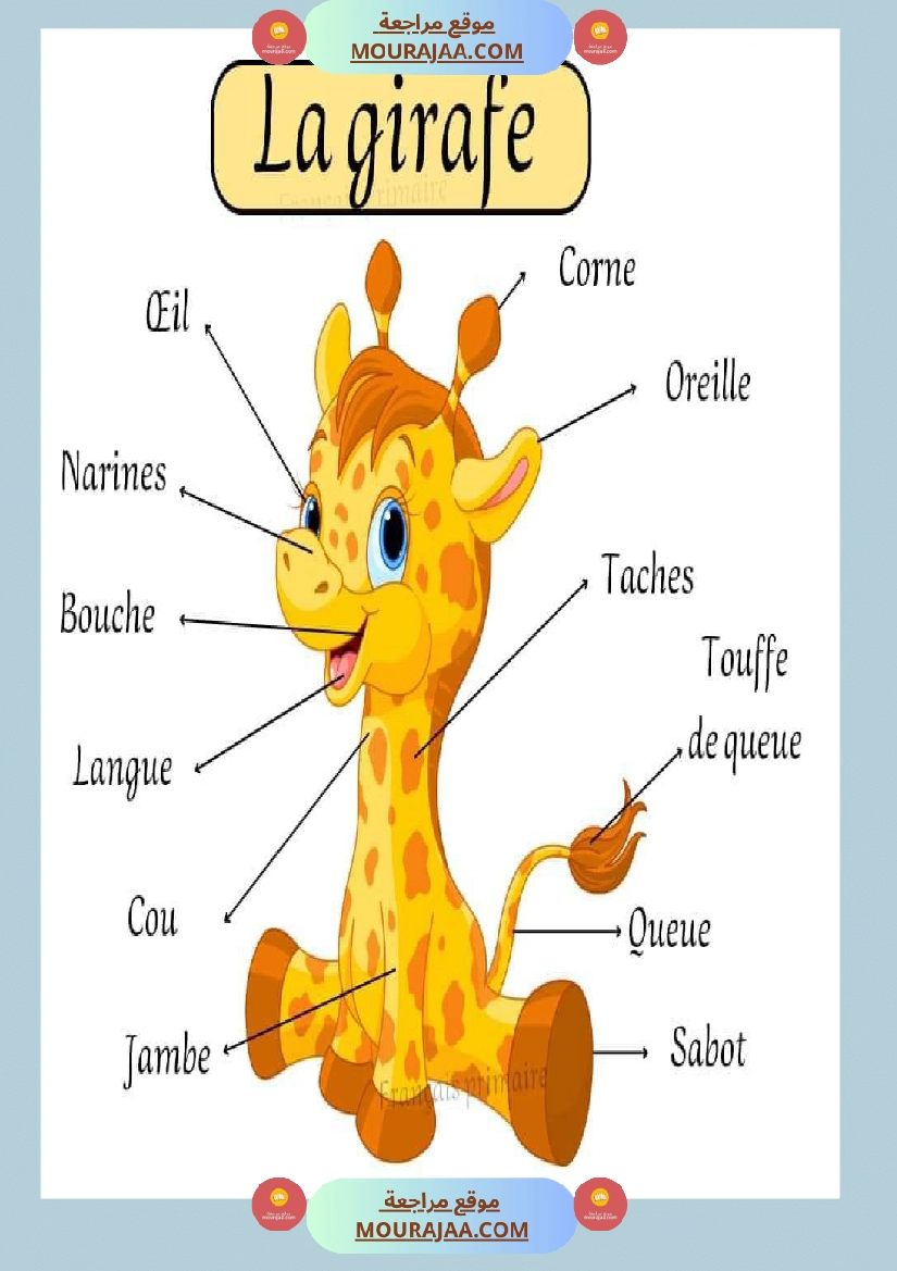la girafe