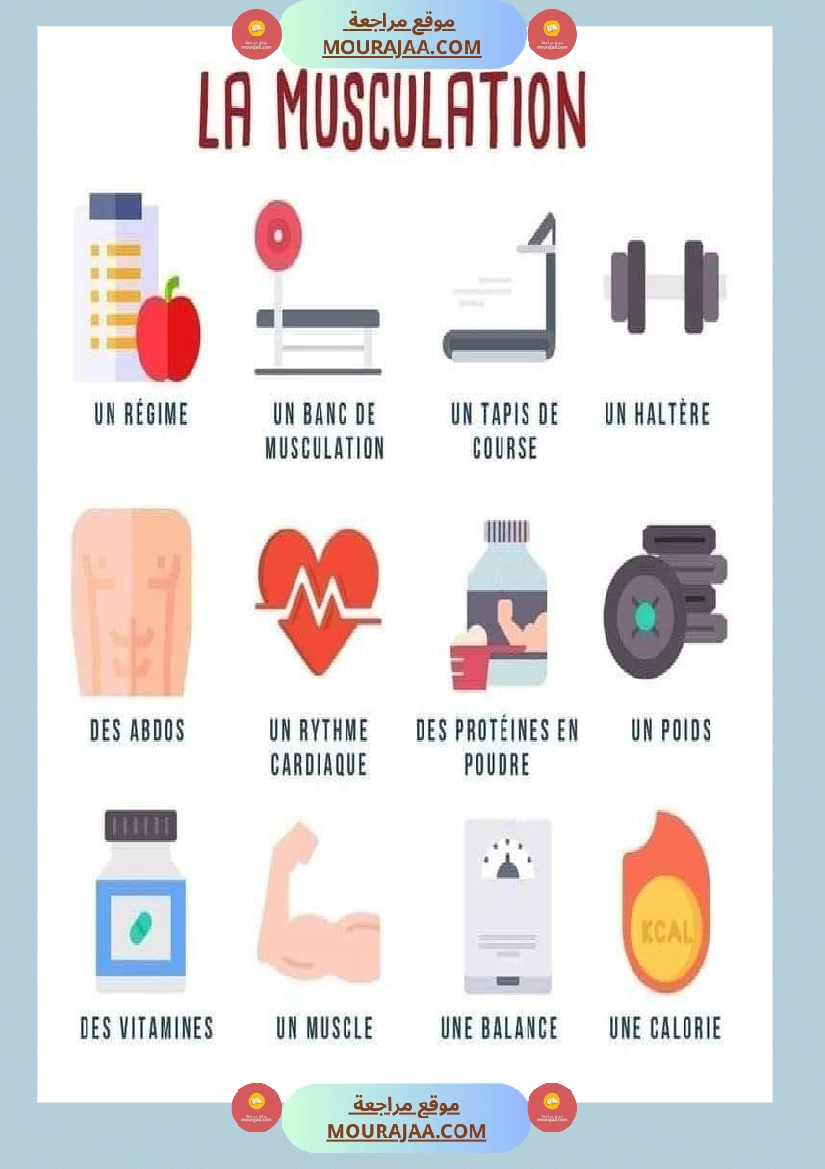 la musculation