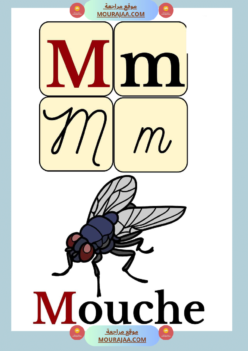 les alphabets en mots