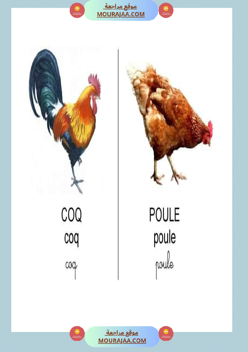 les animaux dans la ferme