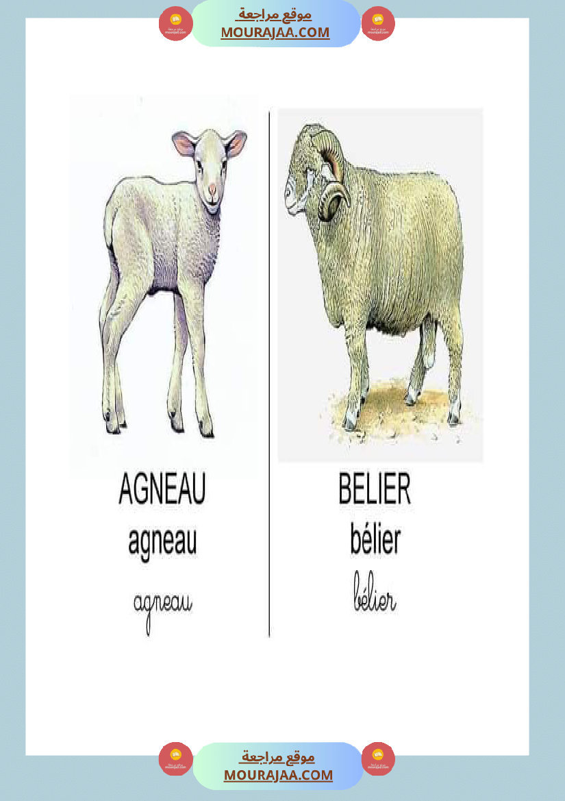 les animaux dans la ferme