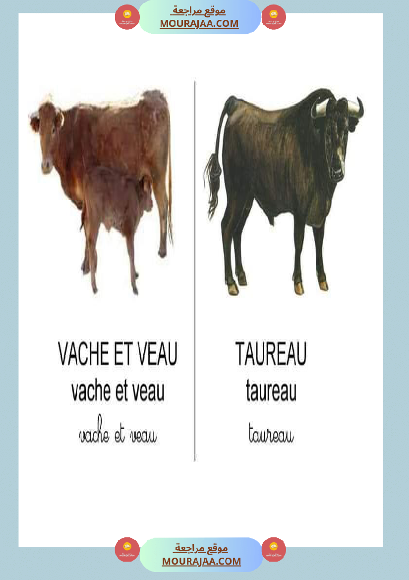 les animaux dans la ferme