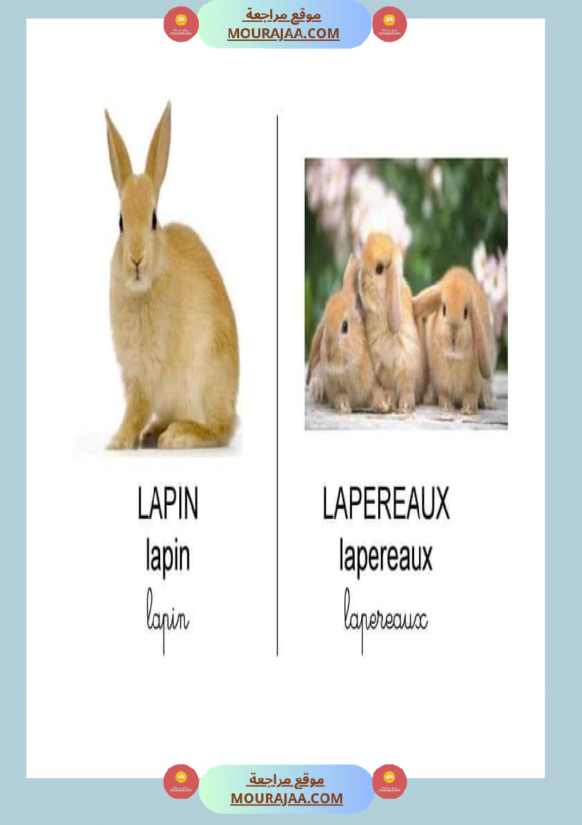 les animaux dans la ferme