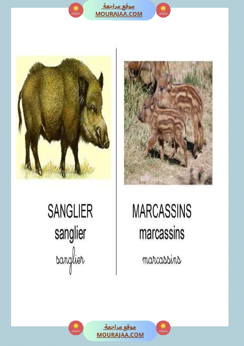 les animaux dans la ferme