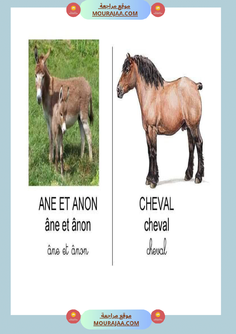 les animaux dans la ferme