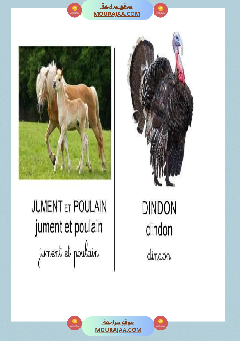 les animaux dans la ferme