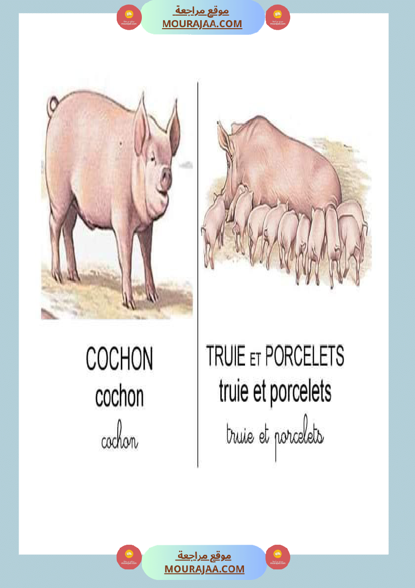 les animaux dans la ferme