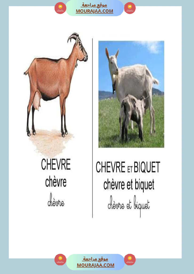 les animaux dans la ferme