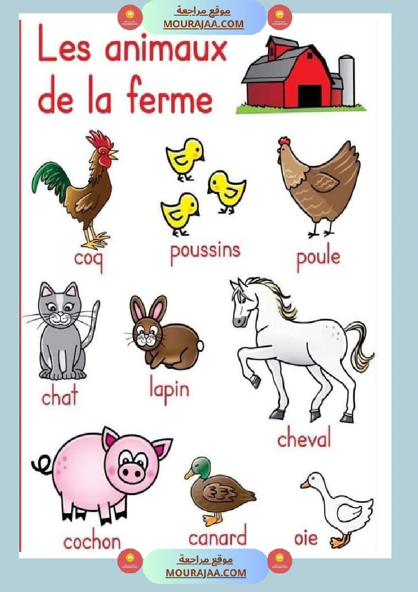 les animaux de la ferme