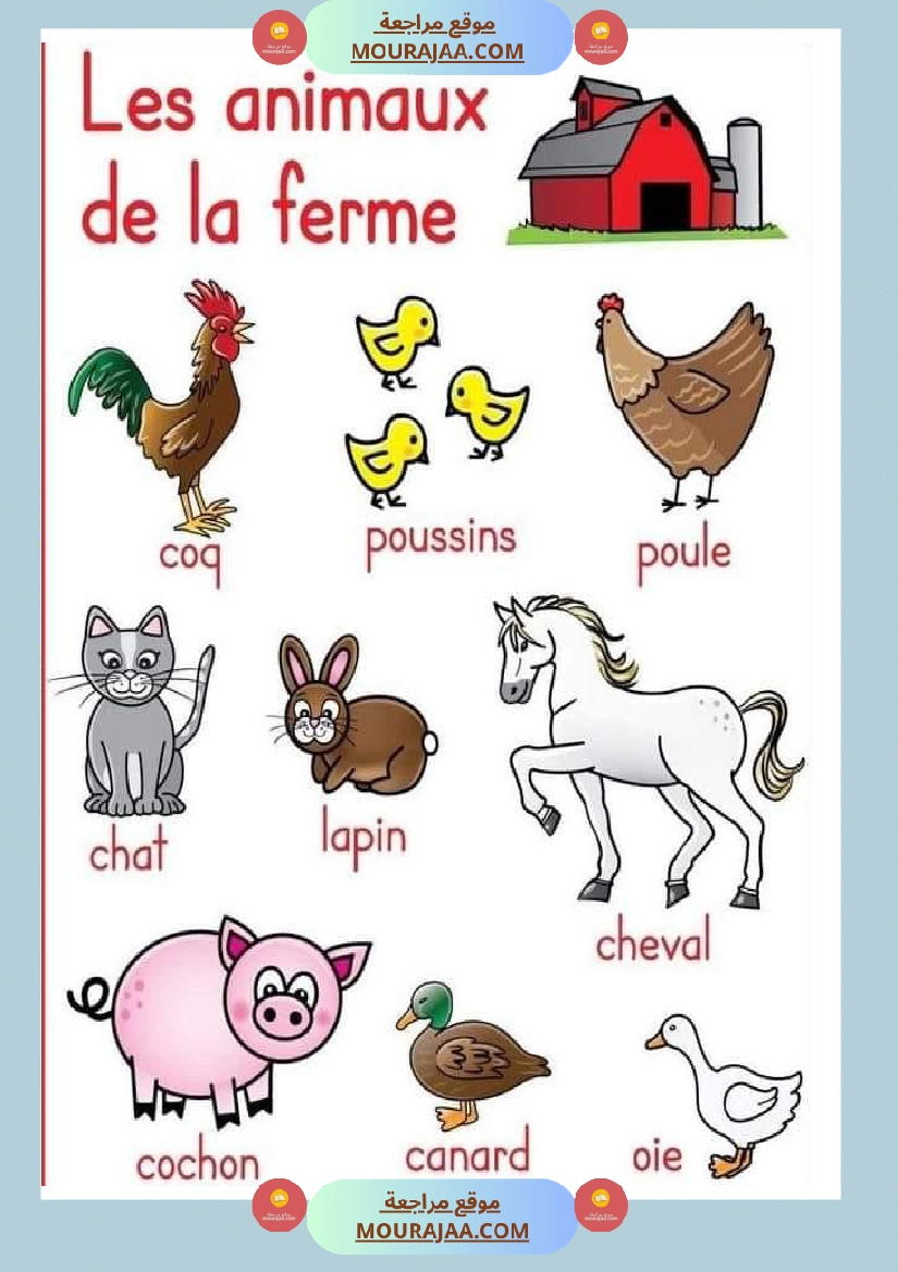 les animaux de la ferme