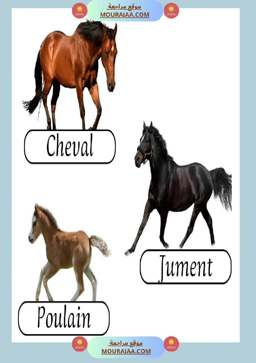 les animaux de la ferme 2