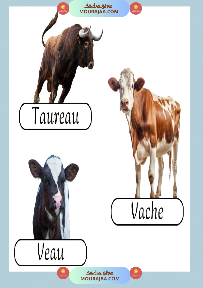les animaux de la ferme 2