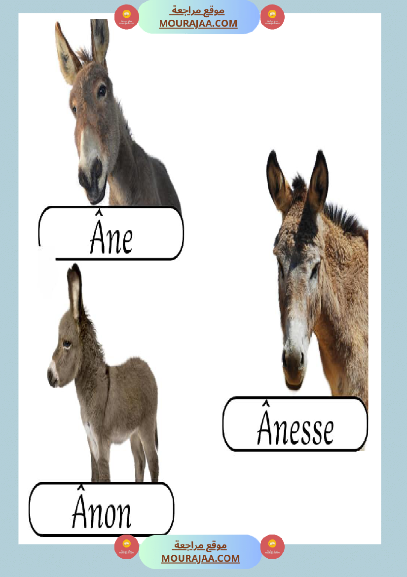 les animaux de la ferme 2