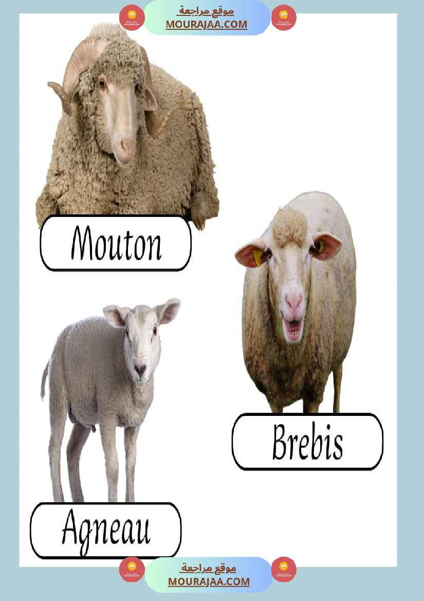 les animaux de la ferme 2