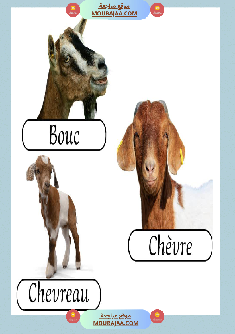 les animaux de la ferme 2