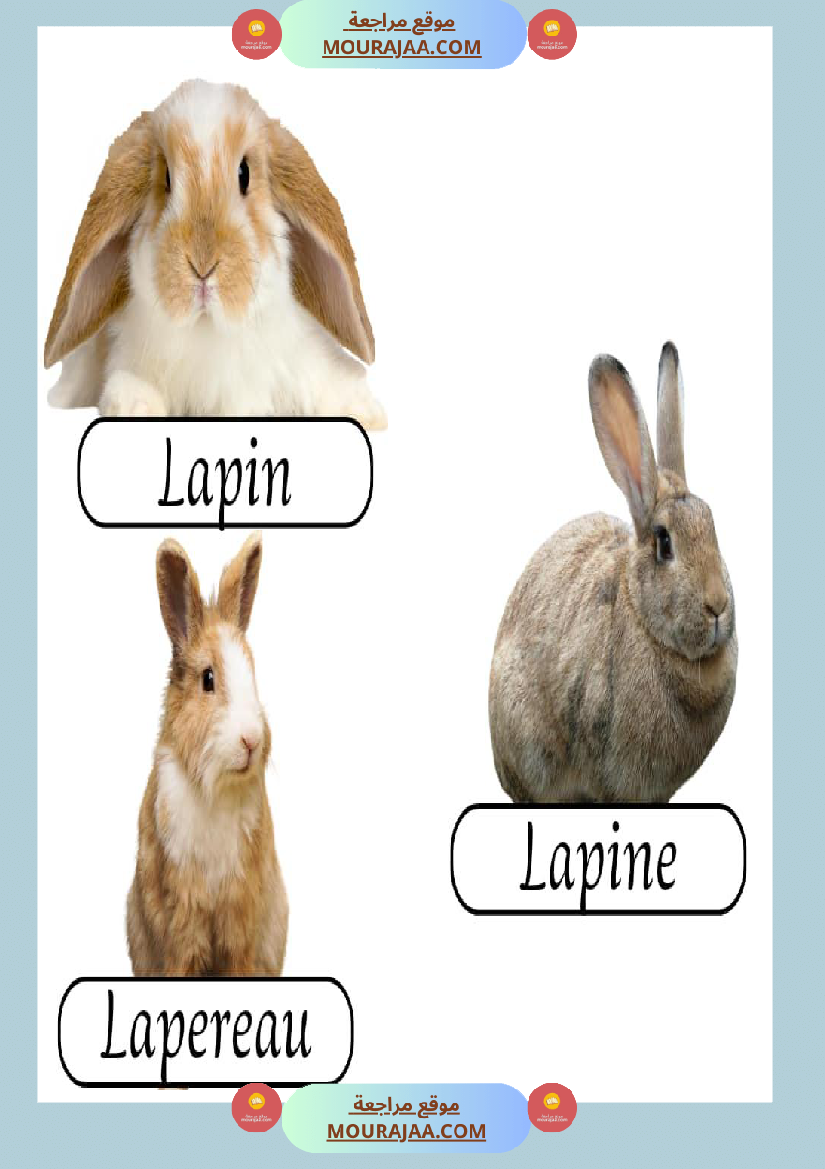 les animaux de la ferme 2