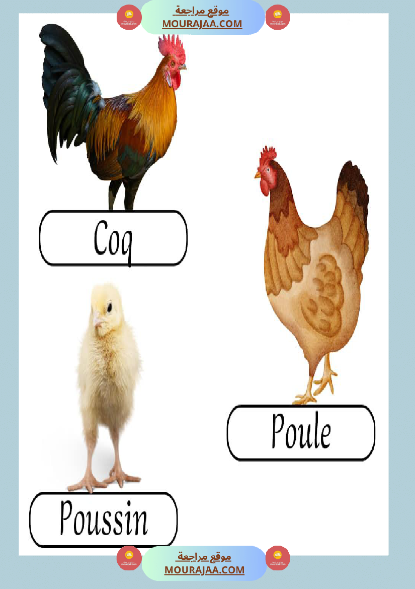 les animaux de la ferme 2