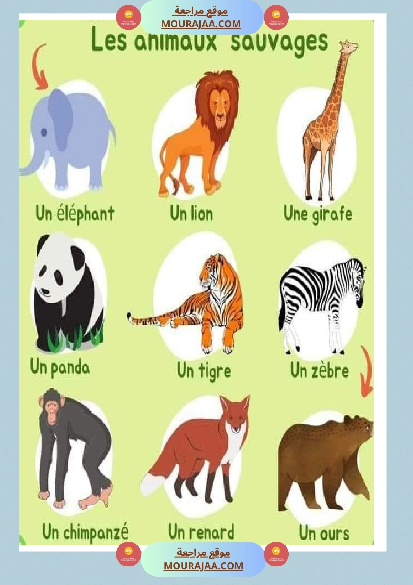 les animaux sauvages