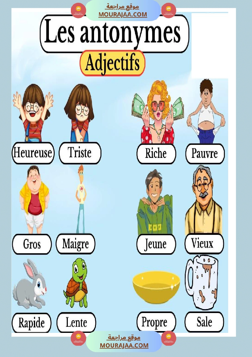 les antonymes adjectifs 2