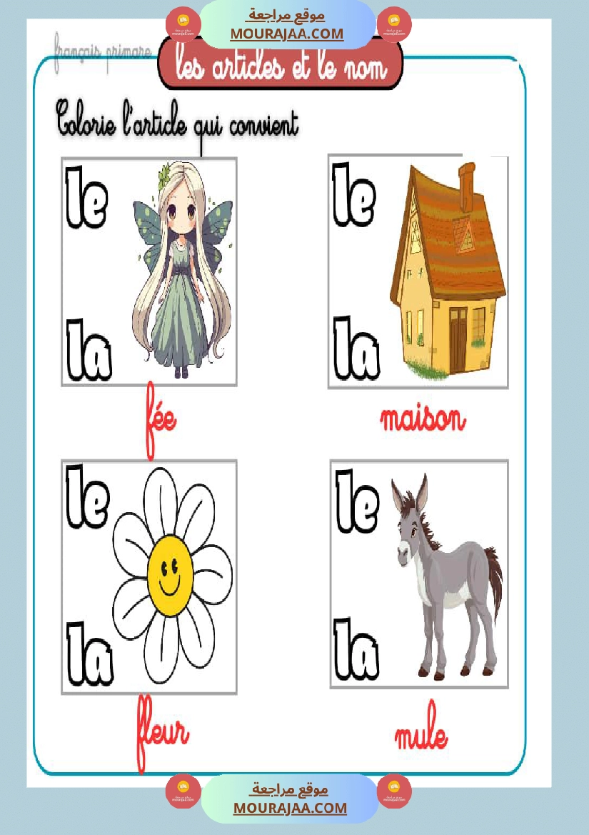 les articles et le nom