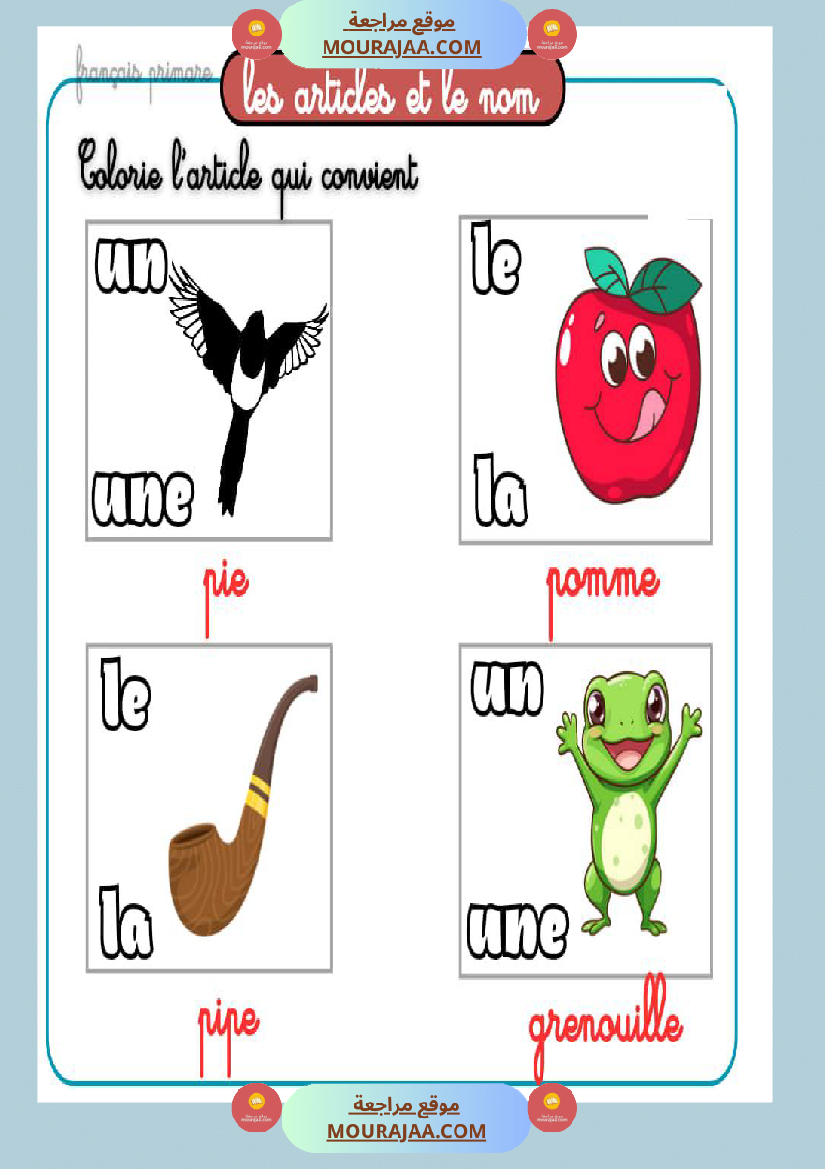 les articles et le nom