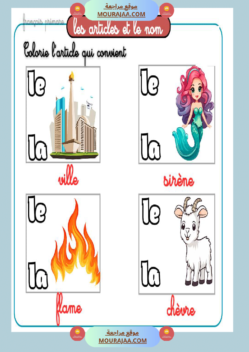 les articles et le nom