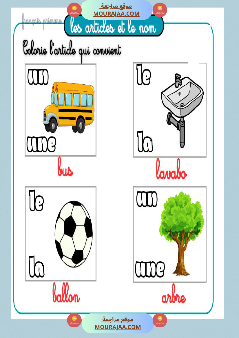 les articles et le nom