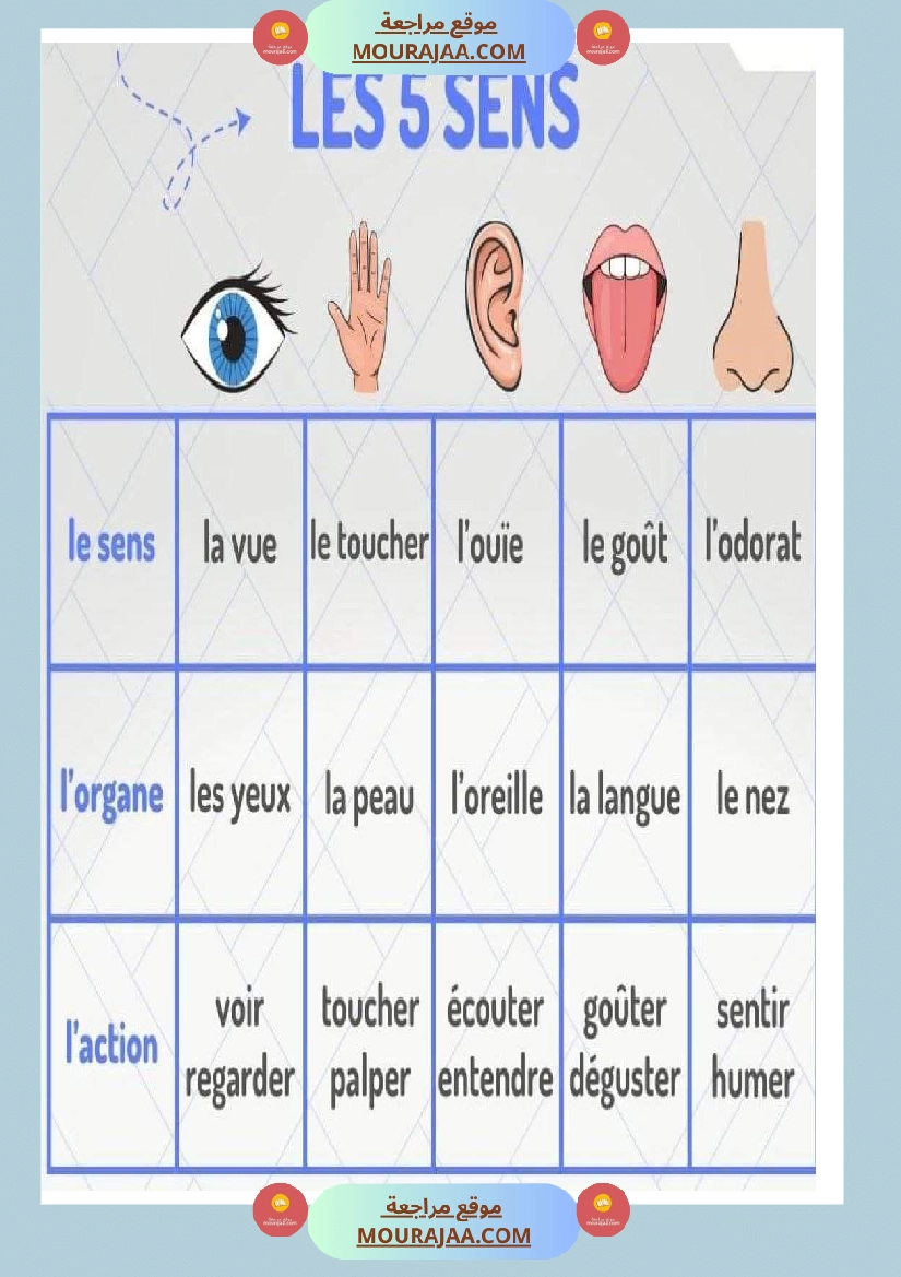 les cinq sens