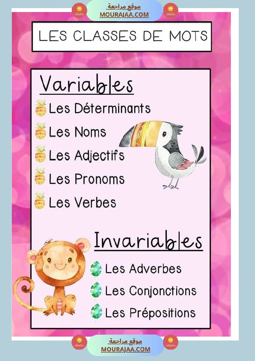 les classes de mots