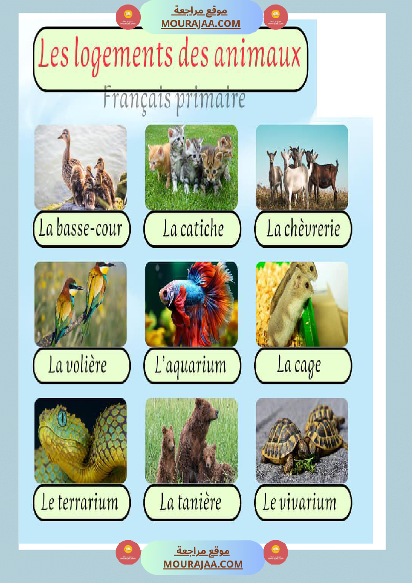 les logements des animaux