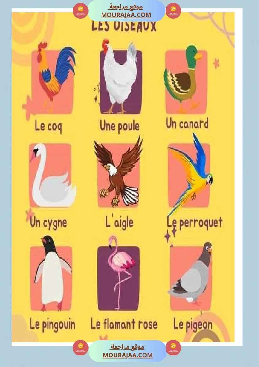 les oiseaux