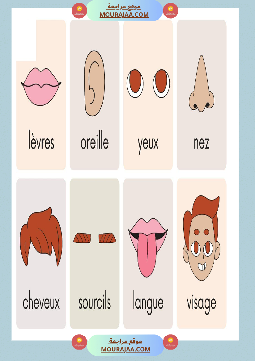 les parties de visage