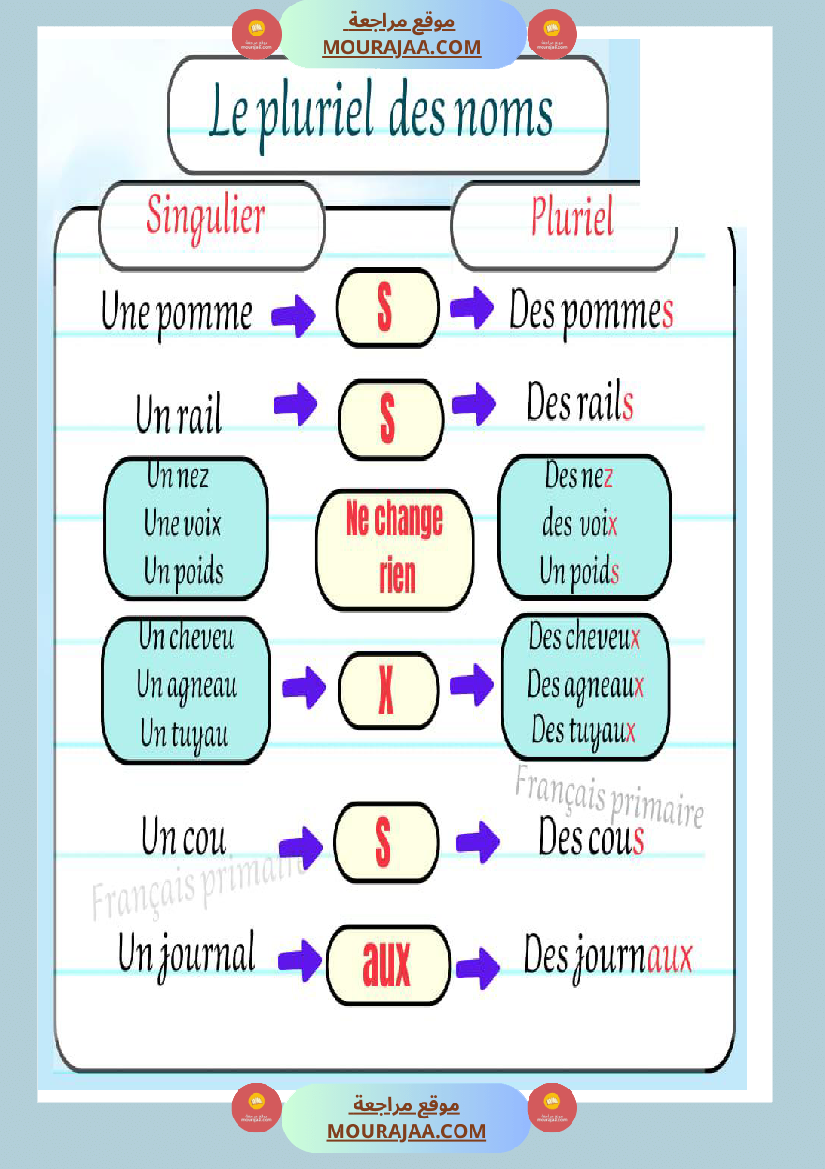 les pluriels des noms