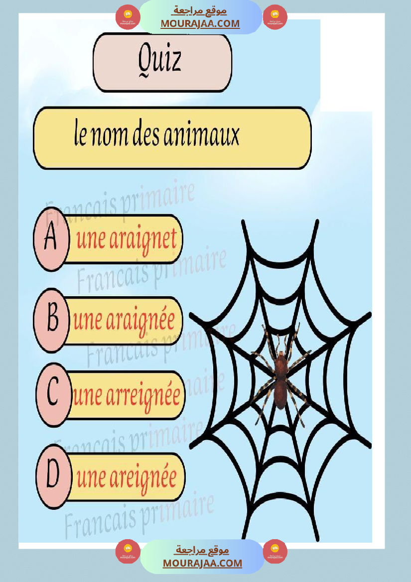 quiz nom des animaux