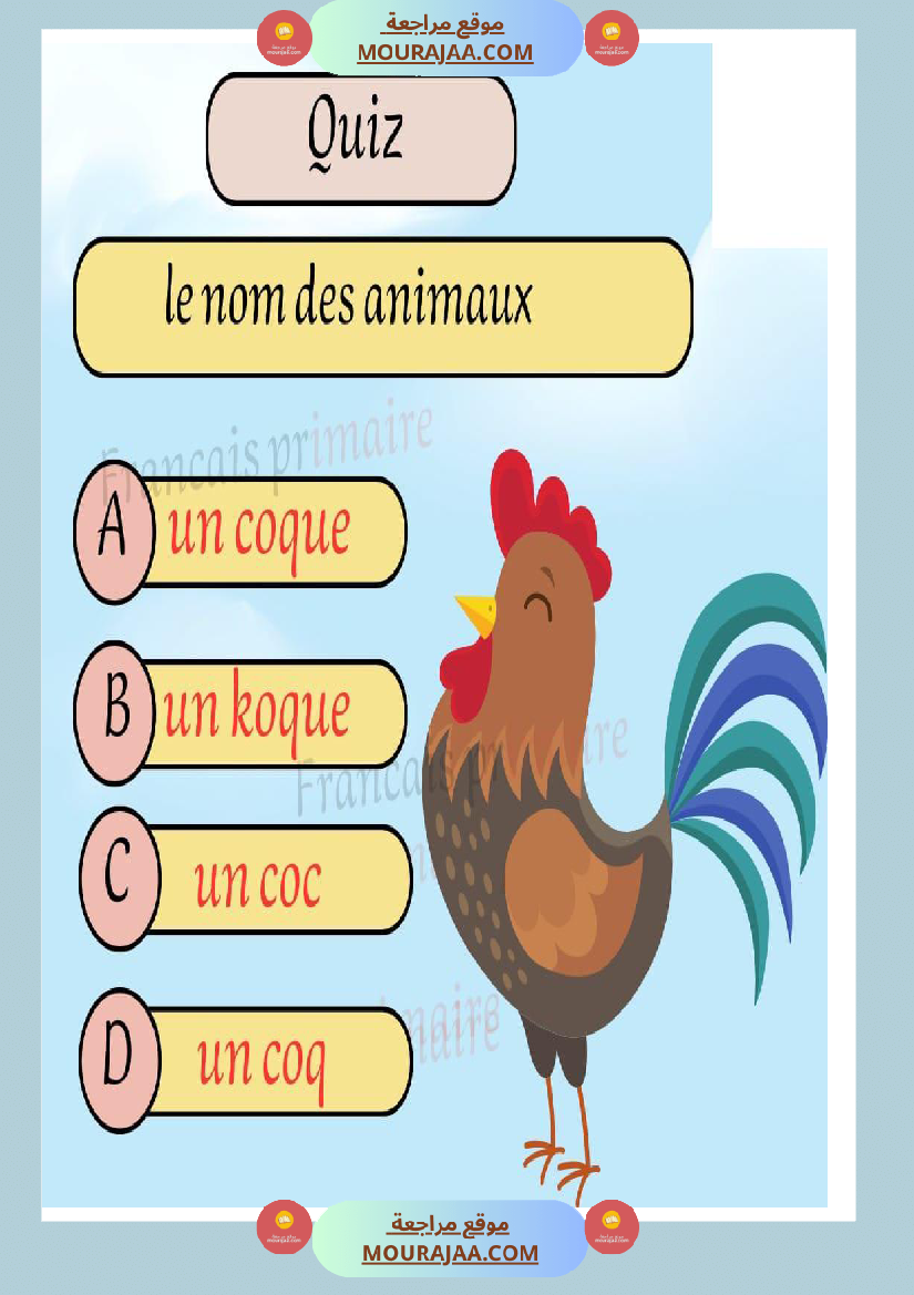 quiz nom des animaux
