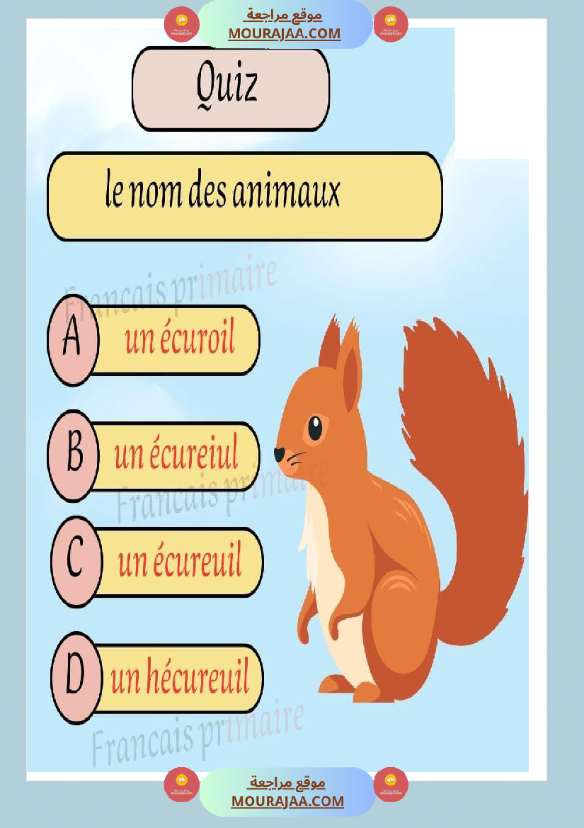 quiz nom des animaux