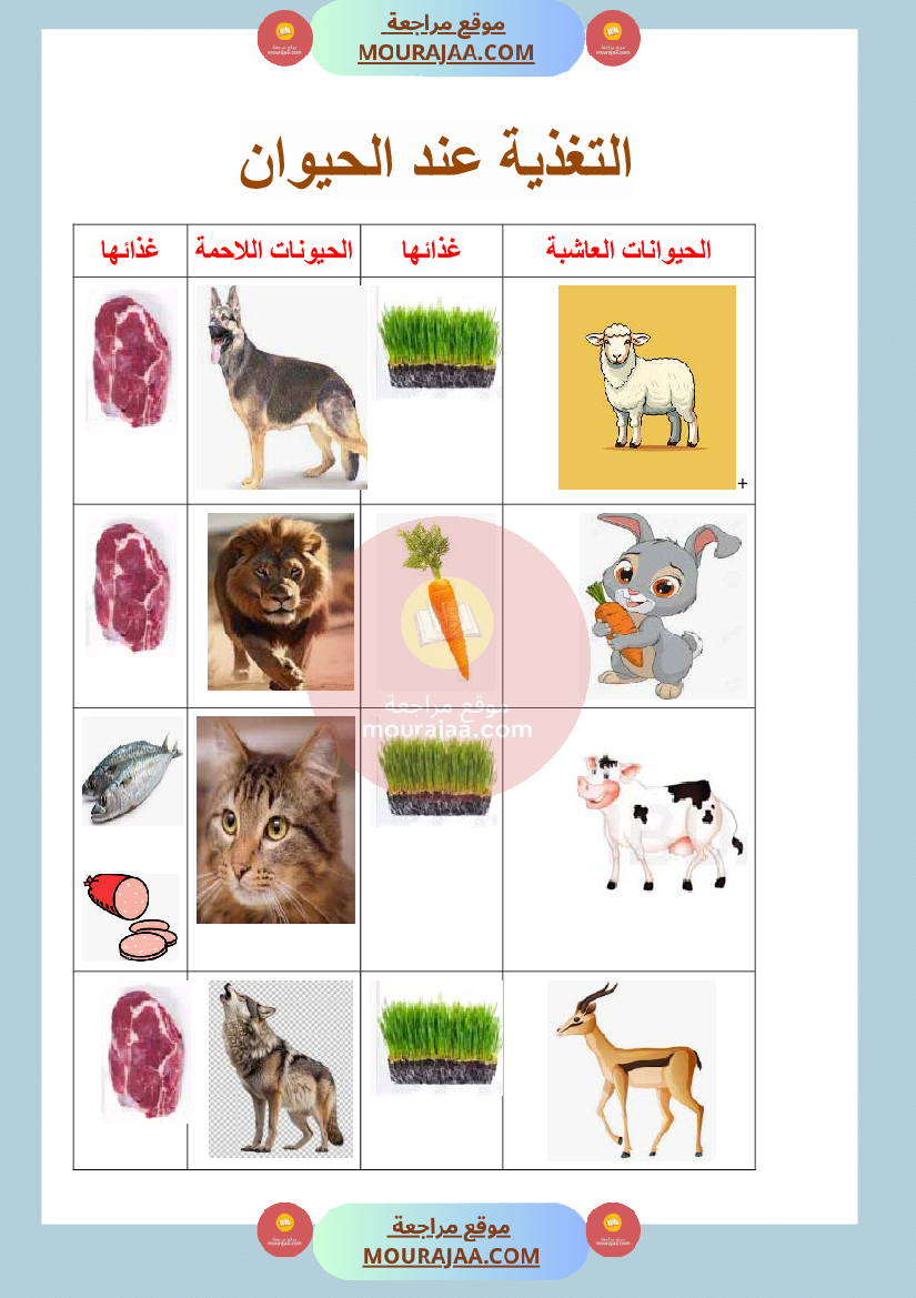 ملف التغذية عند الحيوان و الانسان